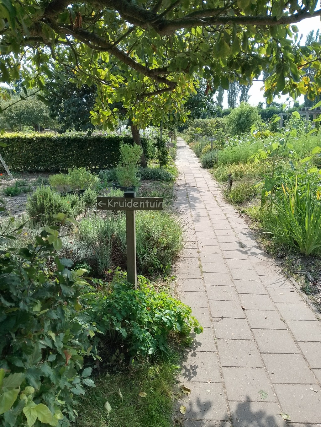 Eet, pluk en winkel bij De&nbsp;Buytenhof