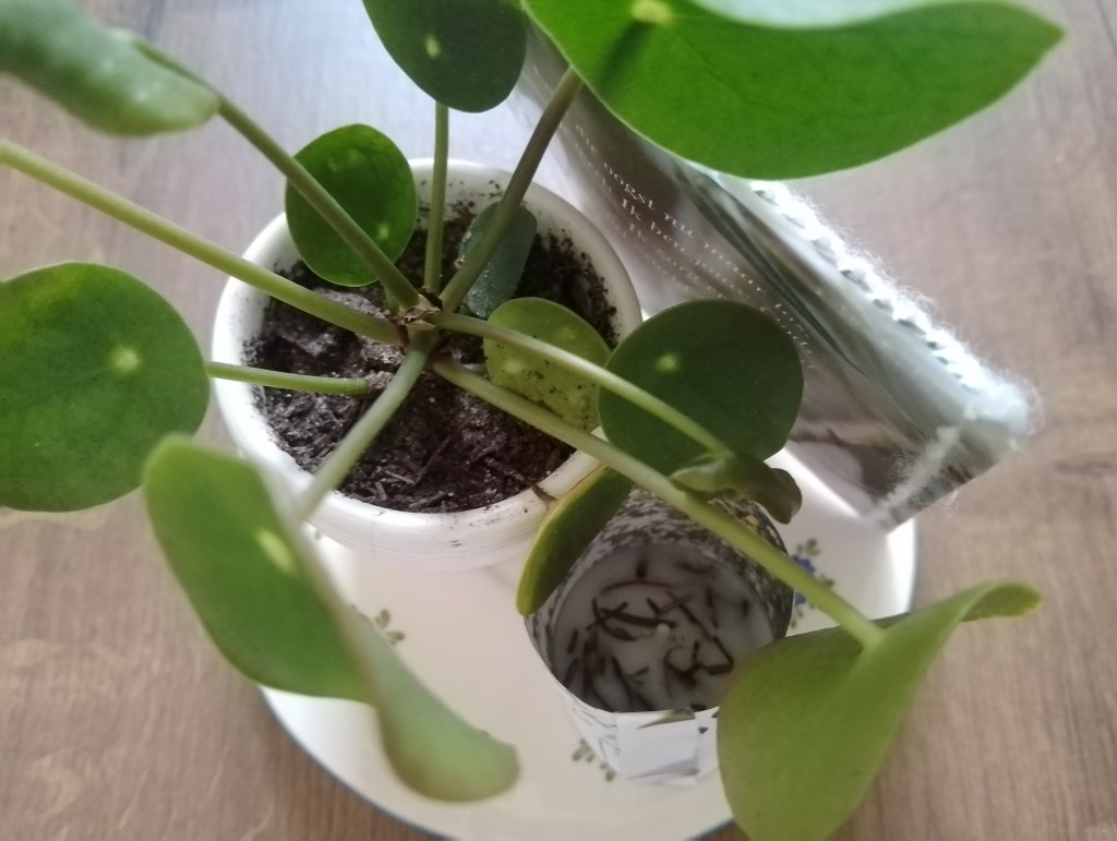 Stel je eigen verwenpakketje&nbsp;samen